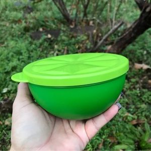 TUPPERWARE LEMON / LIME KEEPER